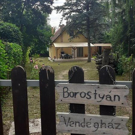 דירות Tiszaug Borostyan Vendeghaz מראה חיצוני תמונה